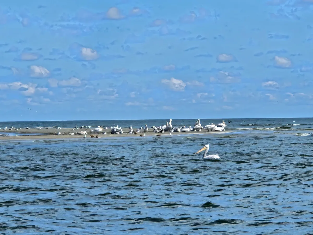 Sulina – Sfântu Gheorghe