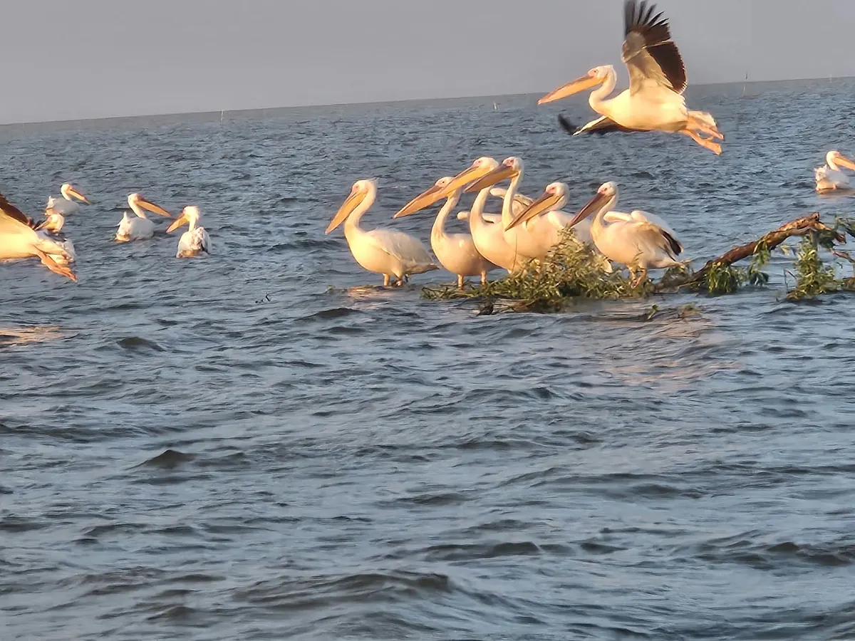 Sulina – Lake Roșu